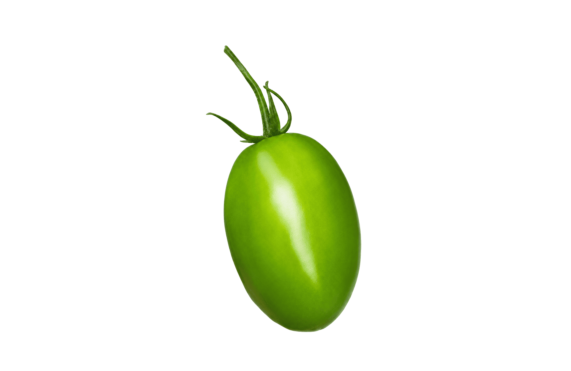 Eraclito