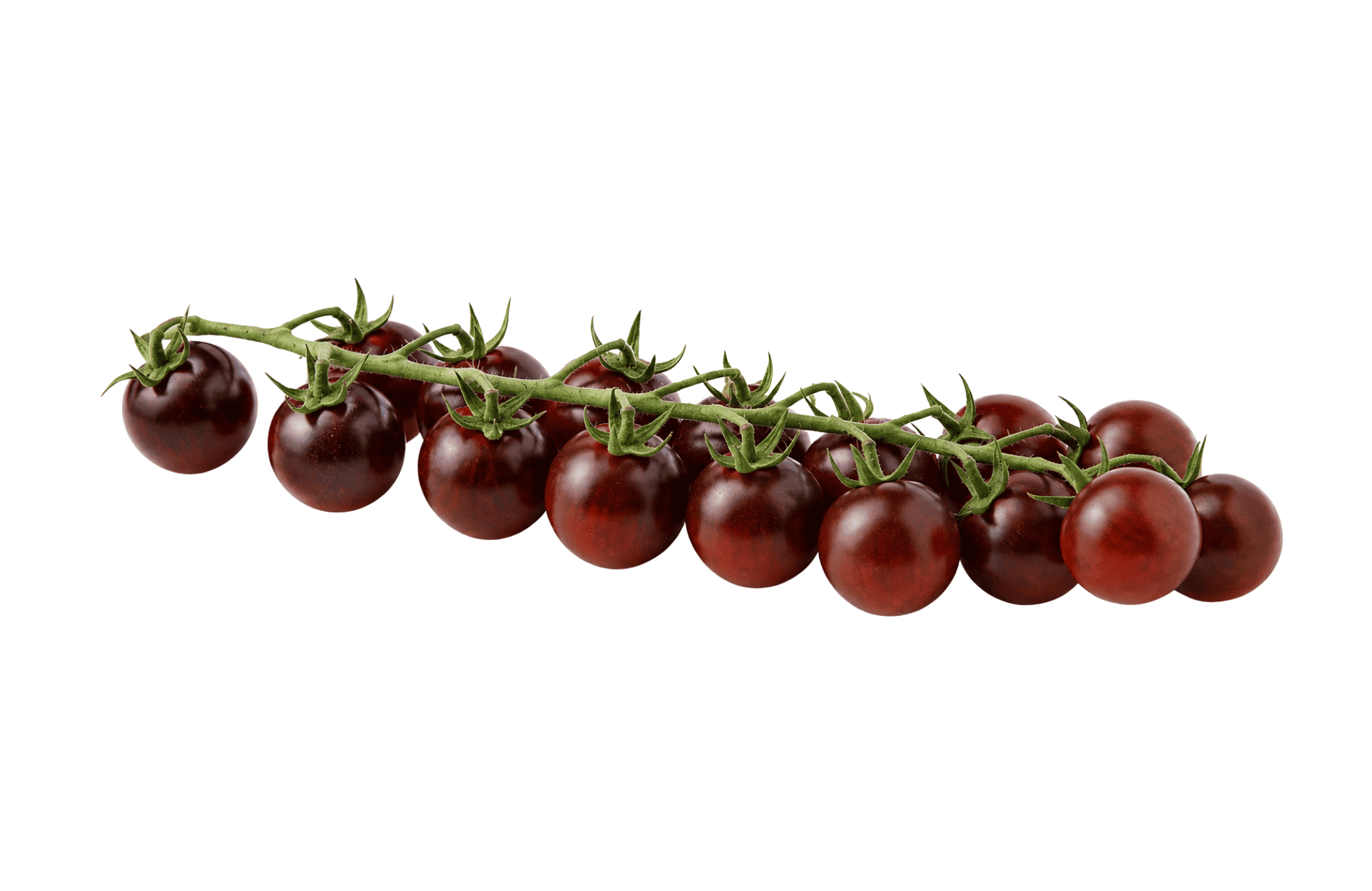 Nero d'Avola
