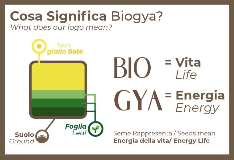 Cosa significa Biogya: Bio = Vita, gya = Energia. Il seme rappresenta l'energia della vita; nel logo sole, foglia e suolo.